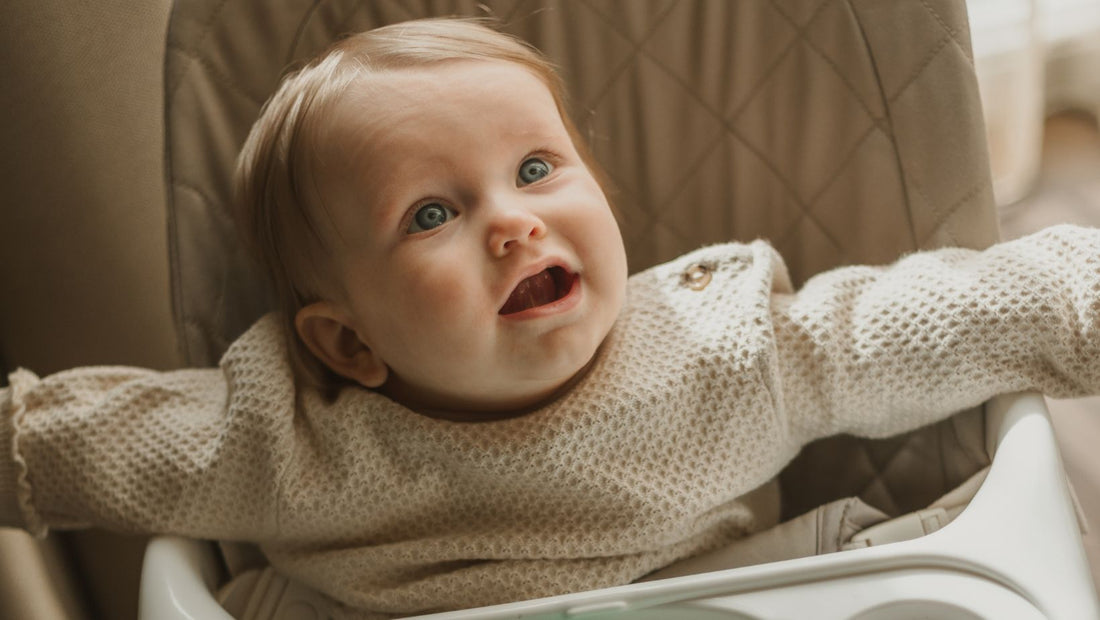 Best Baby Bouncer Guide: Top Picks, Tests, and Tips - Cuddobaby