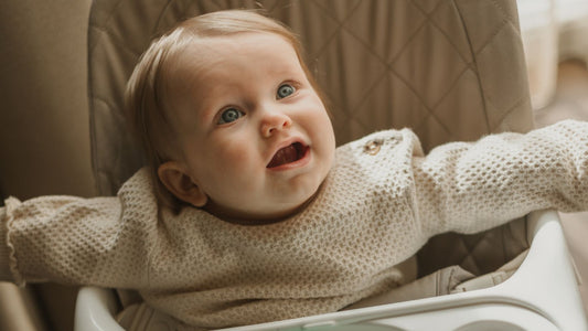 Best Baby Bouncer Guide: Top Picks, Tests, and Tips - Cuddobaby