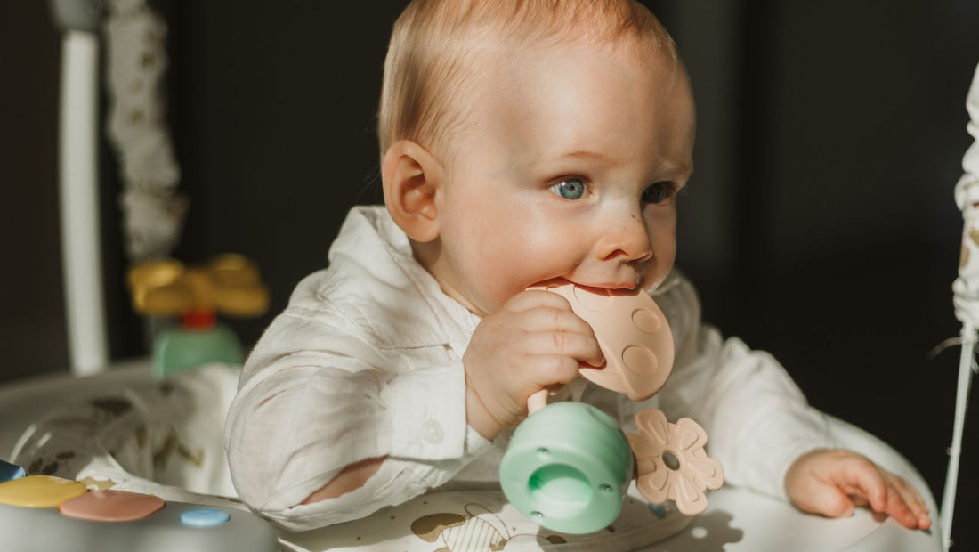 Bouncer Balance Soft: Best Baby Bouncer Guide - Cuddobaby