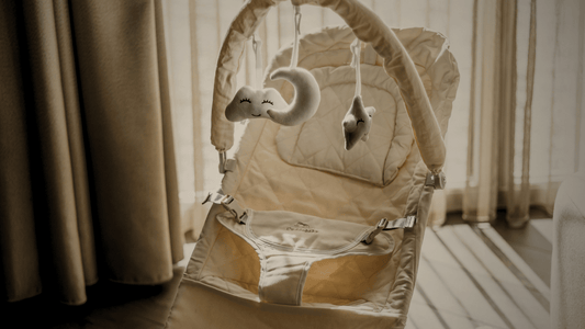 The "Everywhere" Bouncer: Creating a Safe Zone in Any Room - Cuddobaby