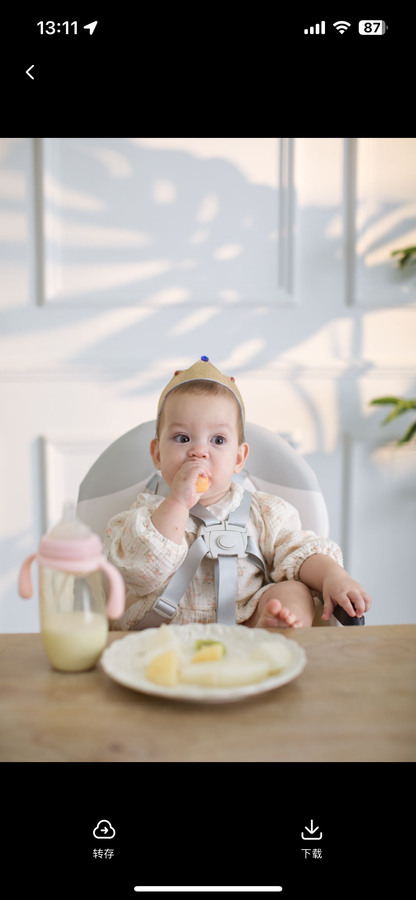 Cuddobaby Purrfect High Chair | Me