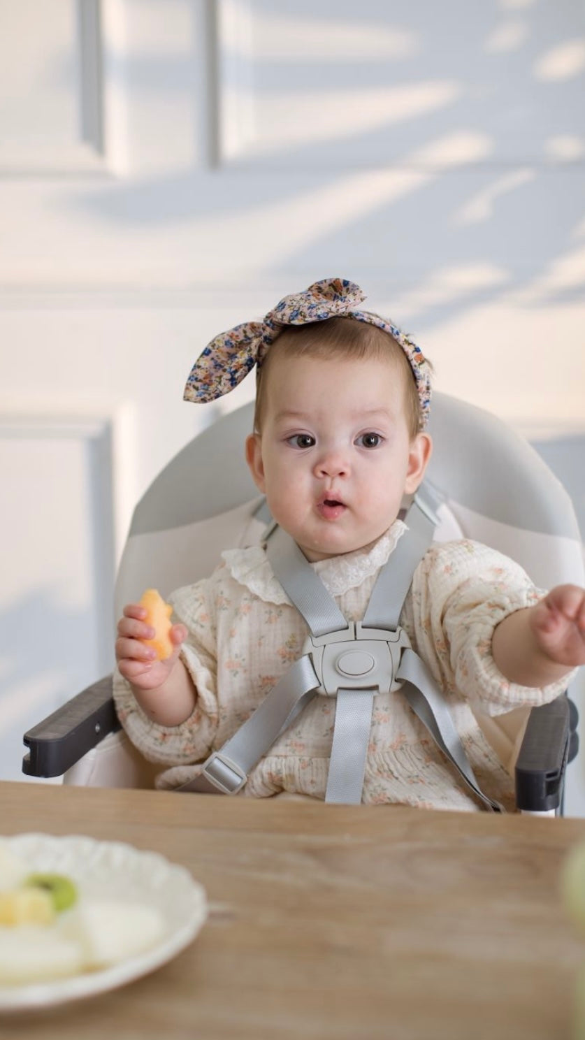 Cuddobaby Purrfect High Chair | Me