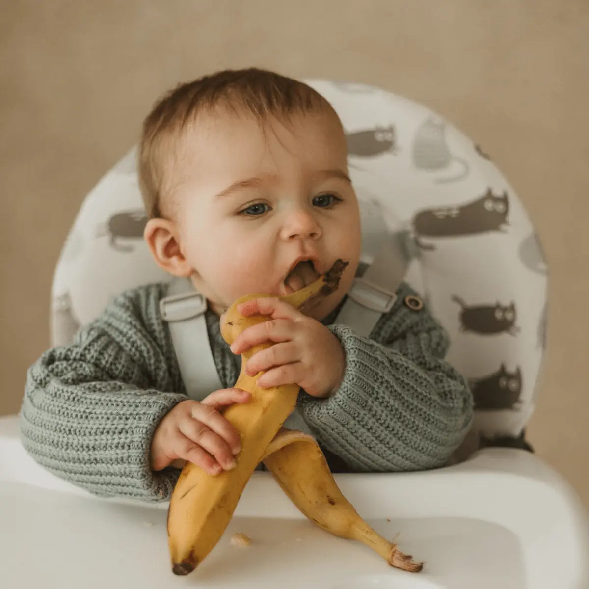 Cuddobaby Purrfect High Chair - CuddobabyCuddobaby Purrfect High Chair