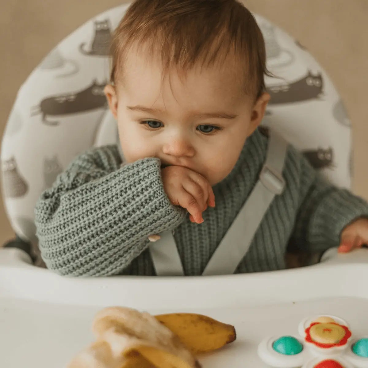 Cuddobaby Purrfect High Chair - CuddobabyCuddobaby Purrfect High Chair