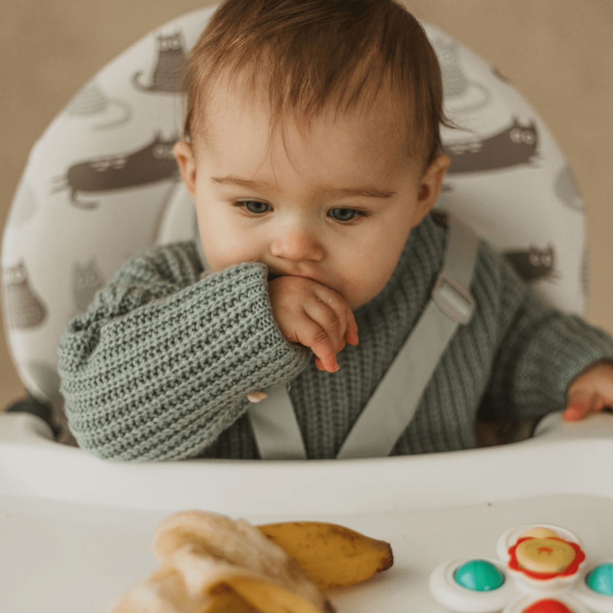 Cuddobaby Purrfect High Chair - CuddobabyCuddobaby Purrfect High Chair
