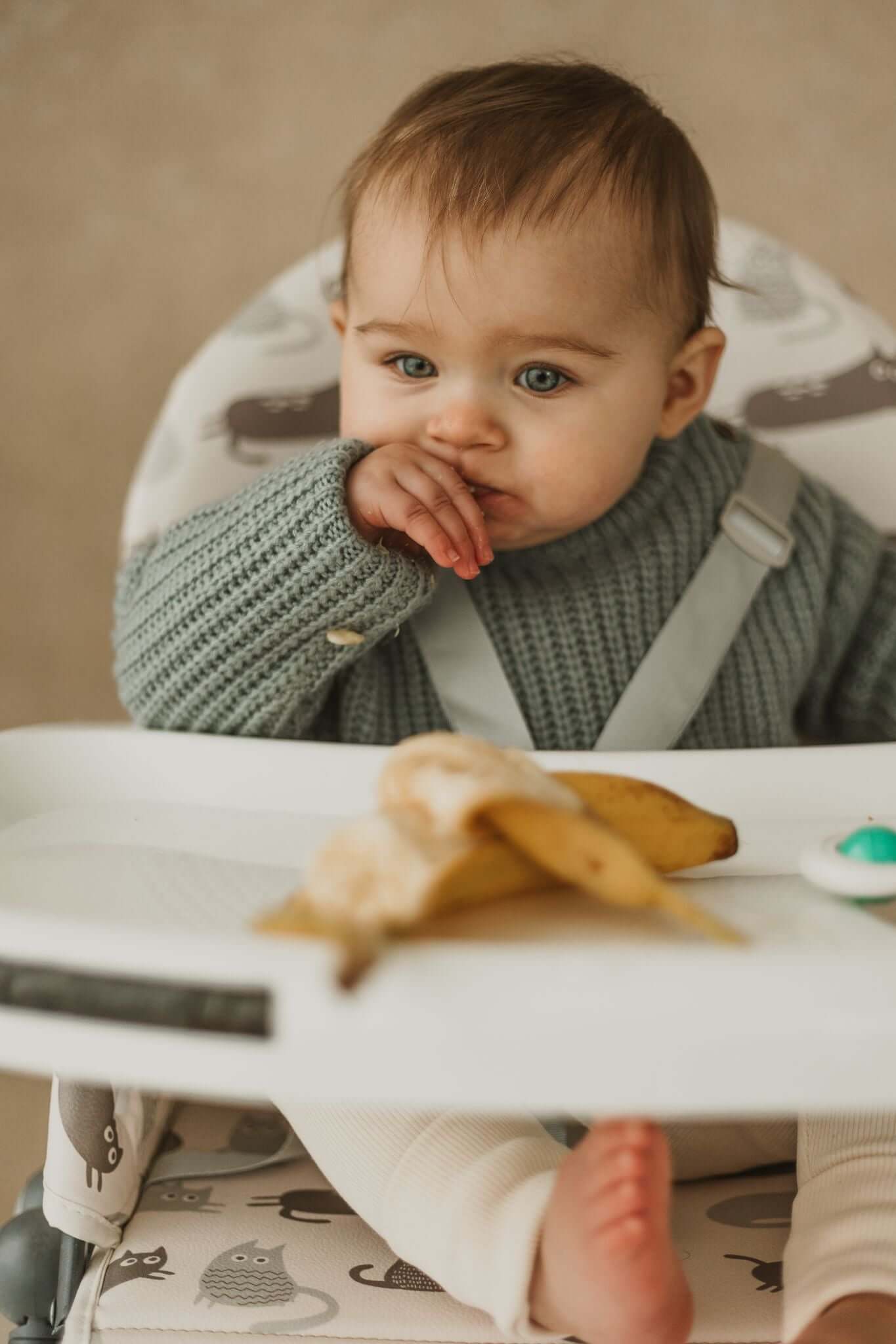 Cuddobaby Purrfect High Chair - Cuddo BabyCuddobaby Purrfect High Chair