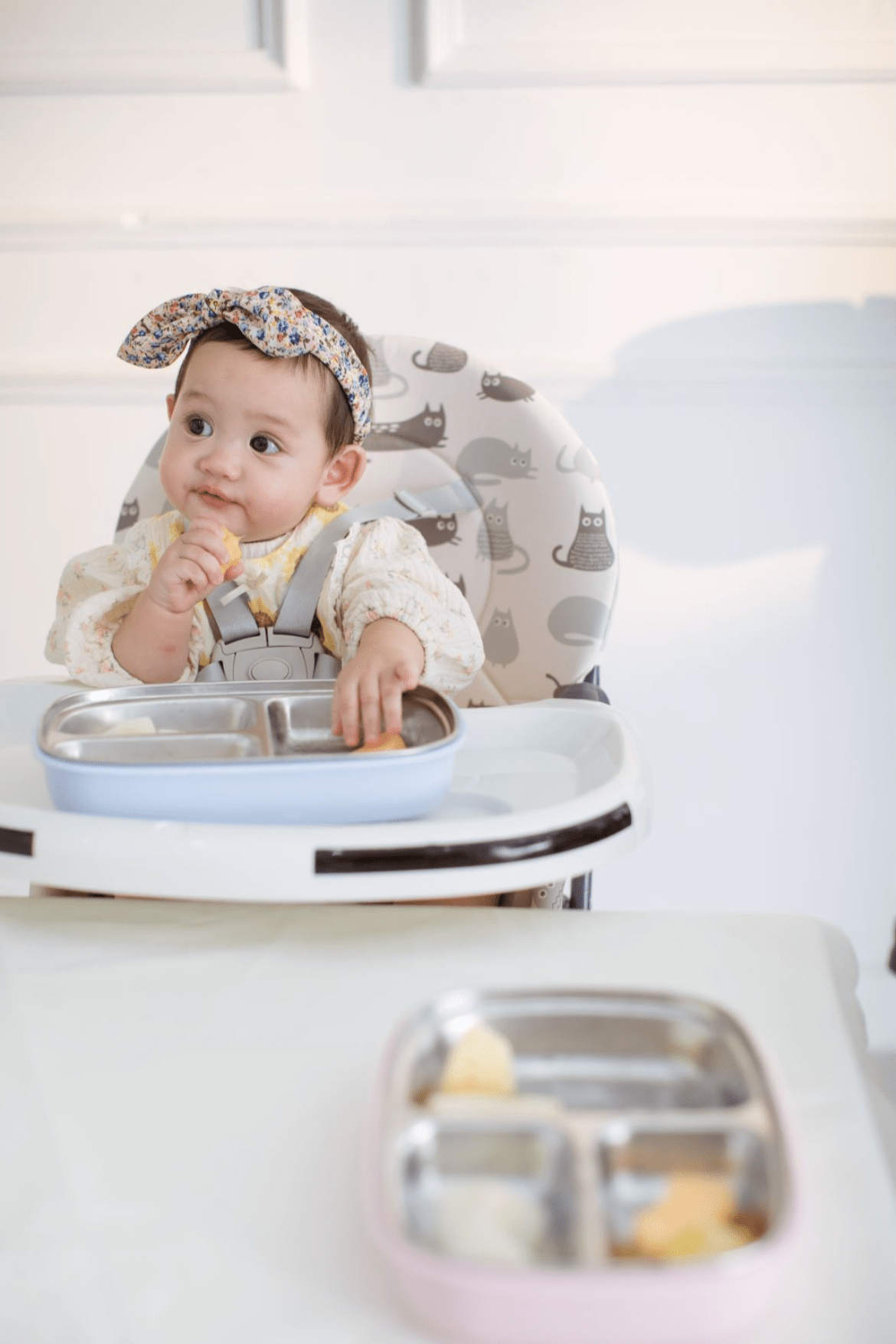 Cuddobaby Purrfect High Chair - Cuddo BabyCuddobaby Purrfect High Chair Friends