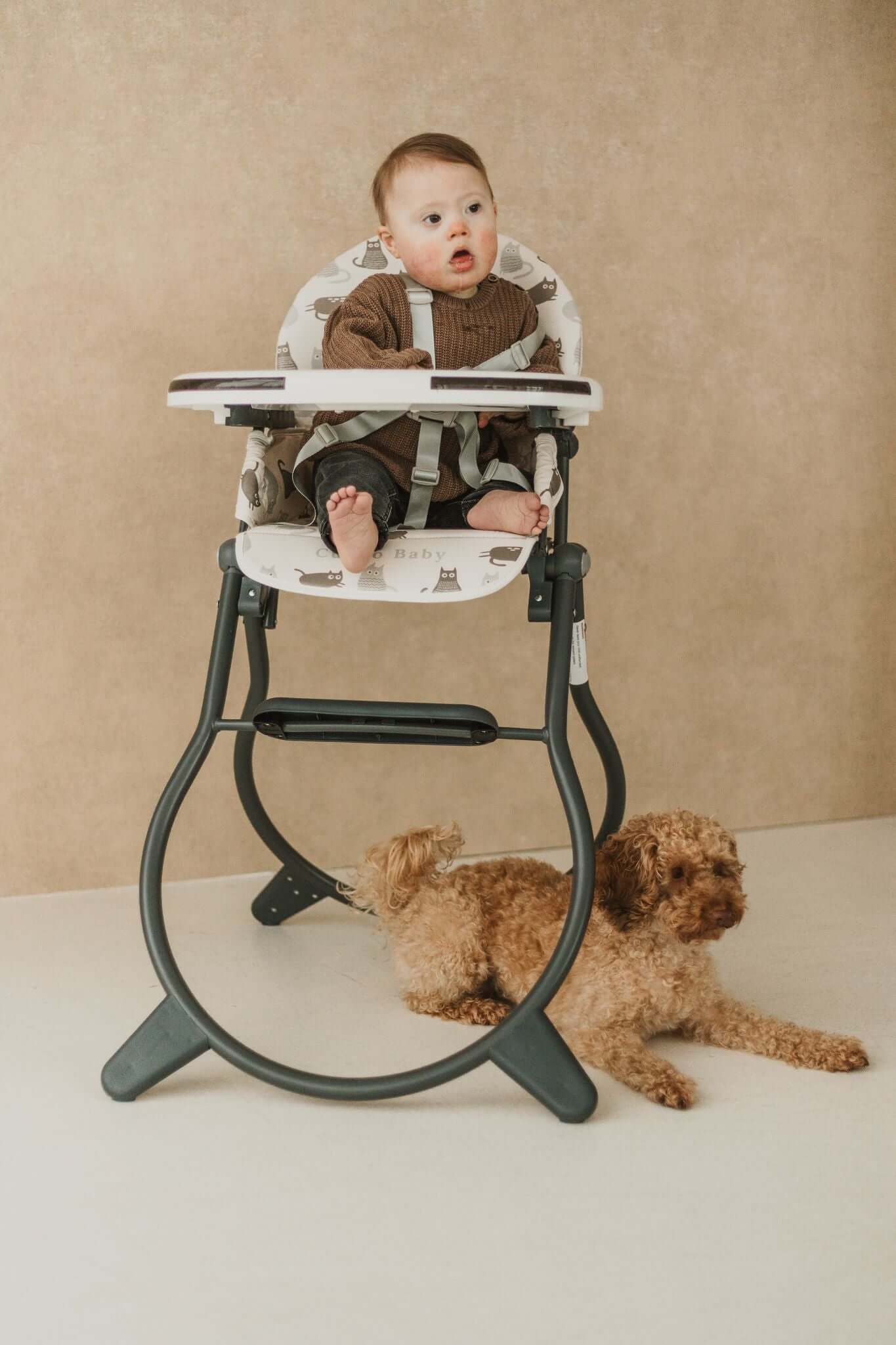 Close-up of Cuddobaby High Chair’s 5-point safety harness, ensuring baby’s security during meals.

