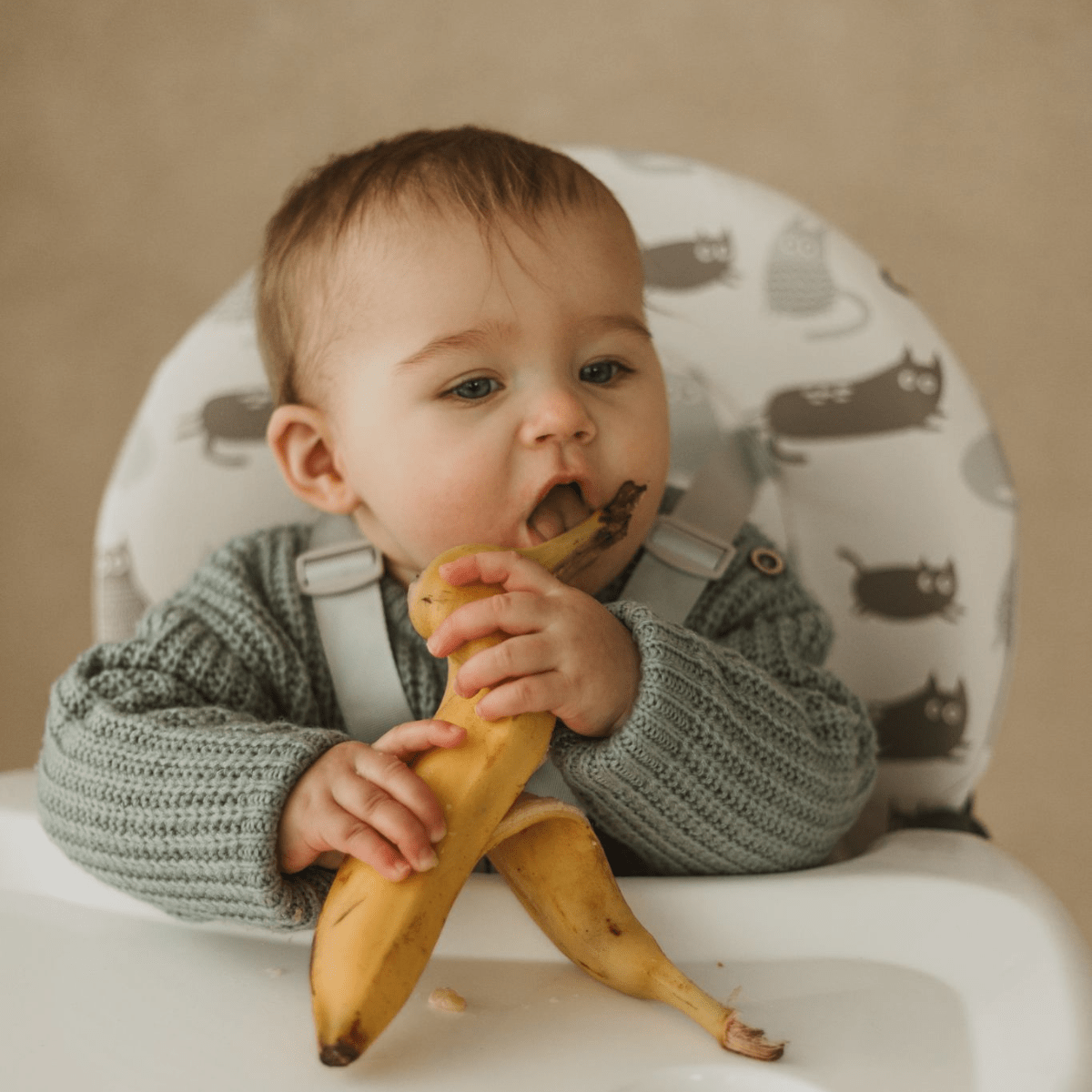 Cuddobaby Purrfect High Chair - CuddobabyCuddobaby Purrfect High Chair