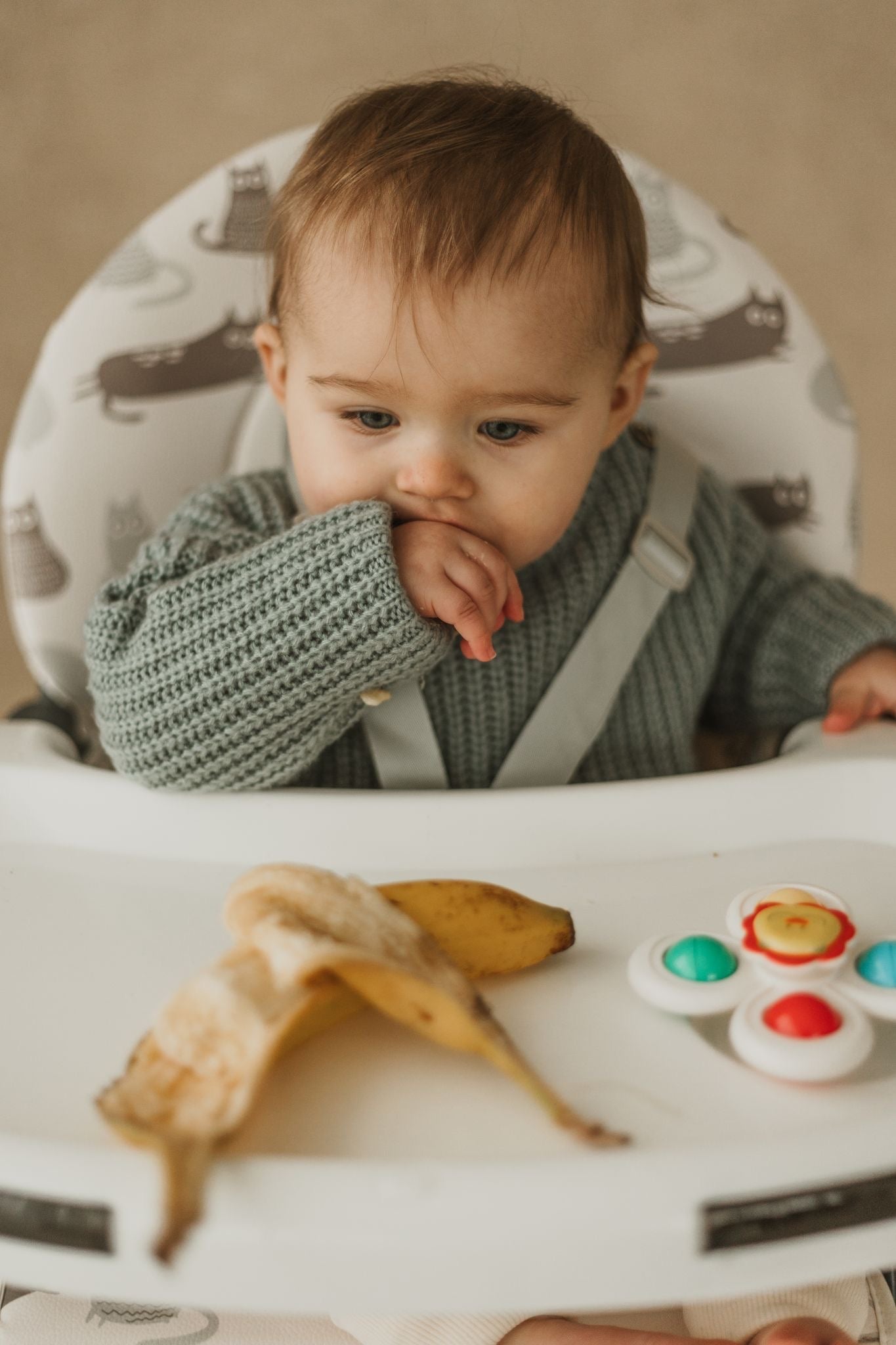 Cuddobaby Purrfect High Chair | Friends - Cuddo BabyCuddobaby Purrfect High Chair Friends